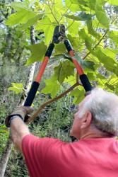 Arbor Day Tree Care LLC